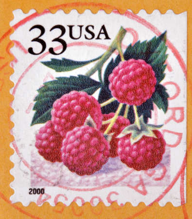 UNITED STATES OF AMERICA - CIRCA 2000  A stamp printed in USA shows Raspberries, circa 2000 