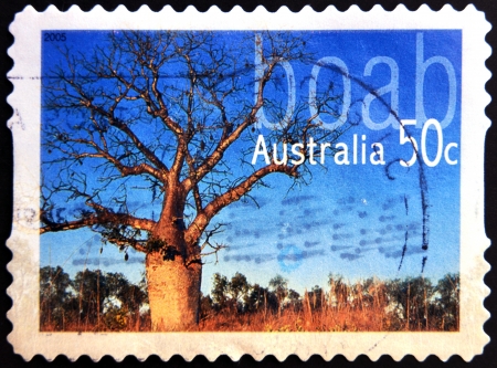 AUSTRALIA - CIRCA 2005  stamp printed in Australia shows boab, circa 2005 の写真素材