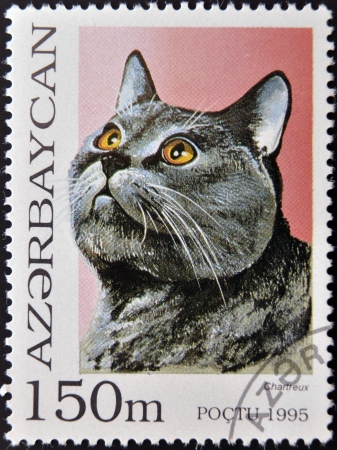 AZERBAIJAN - CIRCA 1995: A stamp printed in Azerbaijan shows cat, Chartreux, circa 1995 のeditorial素材