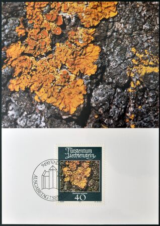 LIECHTENSTEIN - CIRCA 1981: A stamp printed in Liechtenstein dedicated to mosses and lichens shows xanthoria parietina, circa 1981のeditorial素材
