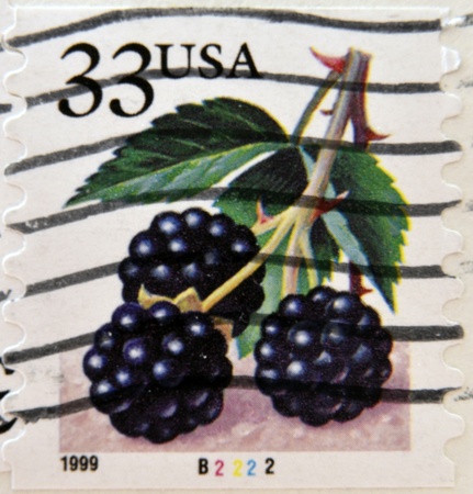 UNITED STATES OF AMERICA - CIRCA 1999  A stamp printed in USA shows blackberry, circa 1999 