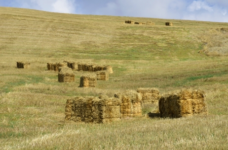 straw bales in the countryside