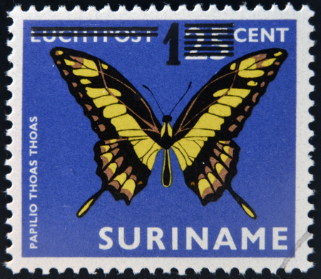 SURINAME - CIRCA 1980: A stamp printed in Surinam shows a butterfly, papilio thoas thoas, circa 1980のeditorial素材