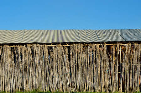 old tobacco farm の写真素材