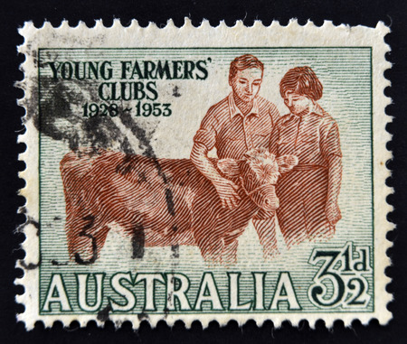 AUSTRALIA - CIRCA 1953: A Stamp printed in Australia shows the Boy and Girl with Calf, Young Farmers Clubs, 25th anniversary, circa 1953 のeditorial素材