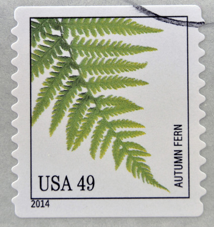 UNITED STATES OF AMERICA - CIRCA 2014: A stamp printed in USA dedicated to Ferns, shows autumn fern, circa 2014の写真素材