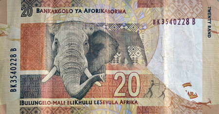 SOUTH AFRICA - CIRCA 2014: Elephant on 20 Rand 2014 Banknote from South Africa.のeditorial素材