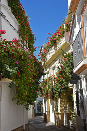 Street with flower pots in facades. Village in the Alpujarraのeditorial素材