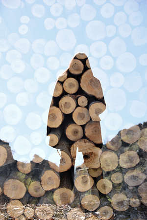 Young woman back and wooden logs. Double exposure taken with the camera.の写真素材