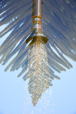 Double exposure of a shower tap and a fir branch taken with the cameraの写真素材