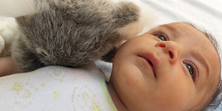 two months baby boy playing with toys koala and puppyの写真素材