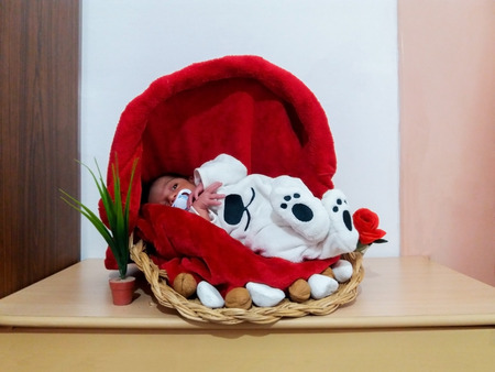 five days old sleeping baby boy calm and relaxed in the basketの写真素材