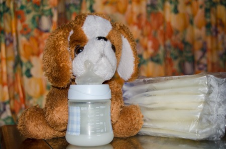 baby bottle with fresh expresed milk, frozen breastmilk in storage bags and soft toy dog, breastfeeding conceptの写真素材