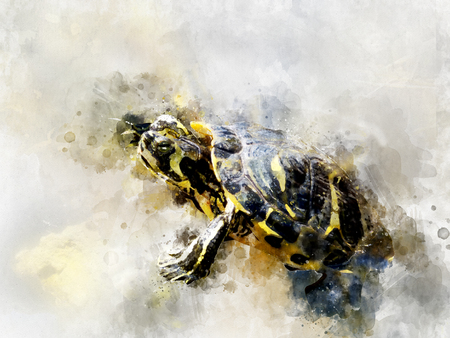 digitaly created painting watercolour efect of black yelow watercolor turtleの写真素材