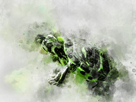 digitaly created painting watercolour efect of green watercolor turtleの写真素材