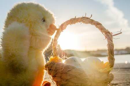 cute little chicken toy and basket with two easter eggs on the sea doc - easter concept. golden hourの写真素材