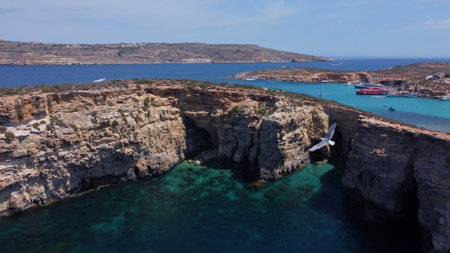 Aerial view of the sea caves of Cominotto uninhabited island near Comino, Maltese islands. Seagull flying in the frame. High quality photoの写真素材