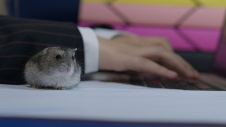 Business woman working from home with her pet dwarf hamster. High quality photoの写真素材