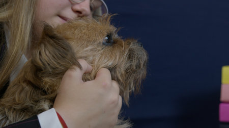 Young caucasian woman holding a dog pet and working from home on laptop. Remote classes or job. High quality photoの写真素材