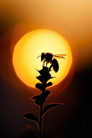 A bee sits atop a silhouetted flower, perfectly positioned against a vibrant, abstract golden sunset. The image captures the serene beauty of nature at twilight. Dramatic and scenic.の素材