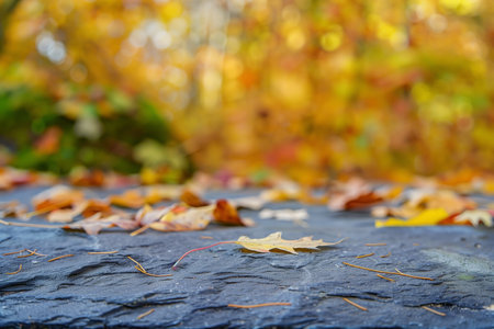 The image showcases a textured slate surface adorned with fallen leaves, set against a backdrop of a forest in warm, autumnal hues. The scene captures the serene beauty of natures seasonal transition.の素材