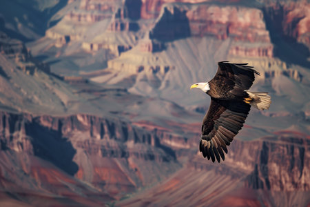 An eagle flies powerfully across a vast canyon, feathers ruffled by wind, the background showing layered rock formations in earth tones, displaying a wild and free flight.の素材