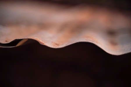 Old metal sheet roof texture. Pattern of old metal sheet.