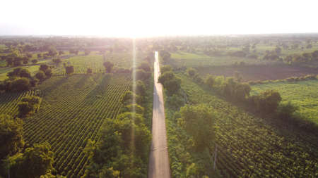 Aerial view of golden sunset in landscapeの写真素材