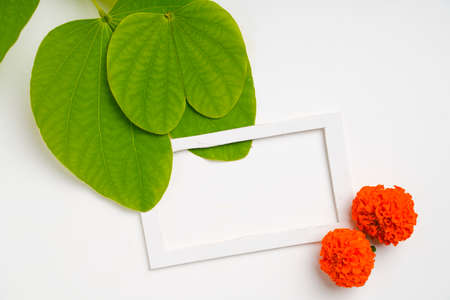 Happy Dussehra greeting card , green apta leaf and rice, Indian festival dussehraの写真素材