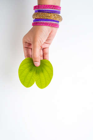 Indian festival Dussehra, green apta leaf in handの写真素材