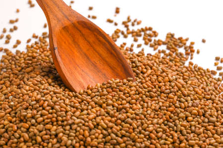 moth beans or matki beans in wooden spoon