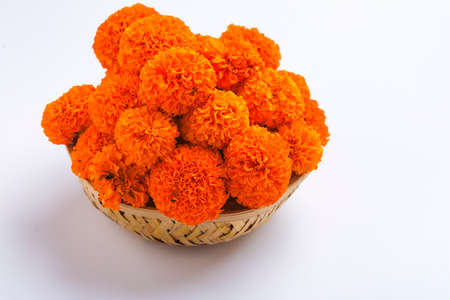 Marigold flowers in basket on white backgroundの写真素材