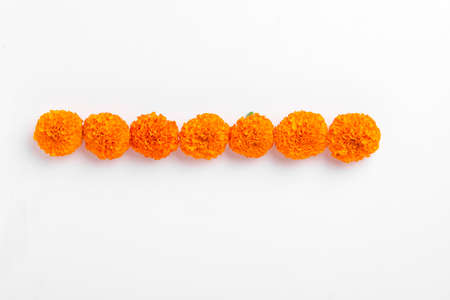 Flower Rangoli for Diwali Festival made using Marigold and leaf and Oil Lamp over white background,の写真素材