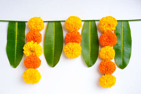 Marigold Flower rangoli Design for Diwali Festival , Indian Festival flower decorationの写真素材