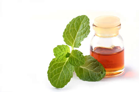 Organic essential mint oil in a small glass jar with green mint leaves,Health and beauty,still life spa concept.Copy space backgroundの写真素材