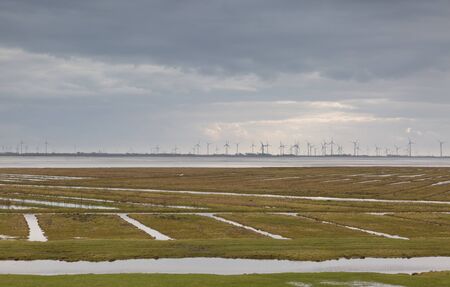 Land reclamation at the mouth of the river Eider, Germanyの写真素材