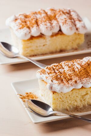 A piece of cake three milk ready to eatの写真素材