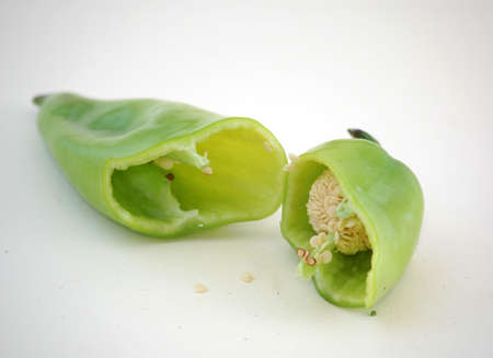 green pepper