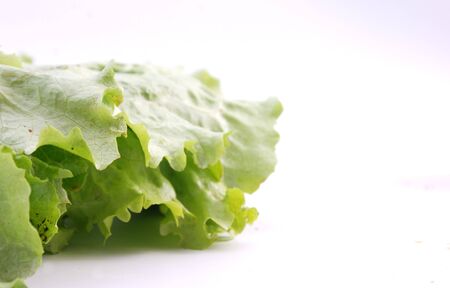 Salad leaves の写真素材