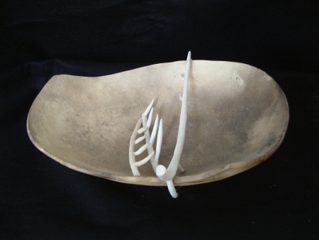 fish bone in aplete,  ceramic artの写真素材