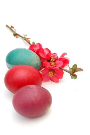 easter eggsの写真素材