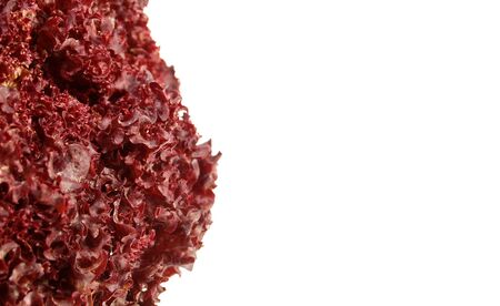 red salad