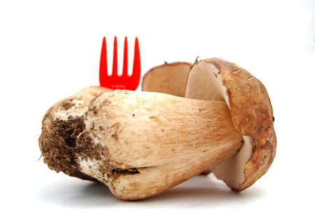 fresh boletus mushroomの写真素材