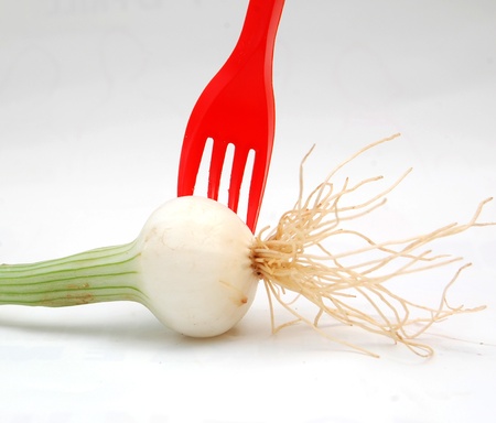 green onionの写真素材