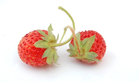 strawberries の写真素材