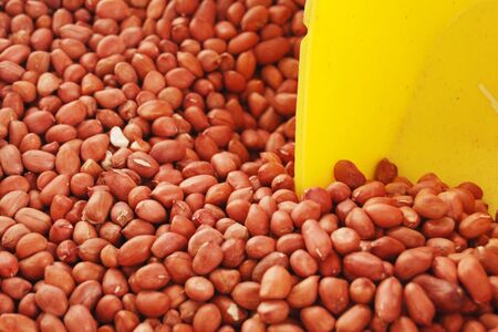 peanuts in marketの写真素材
