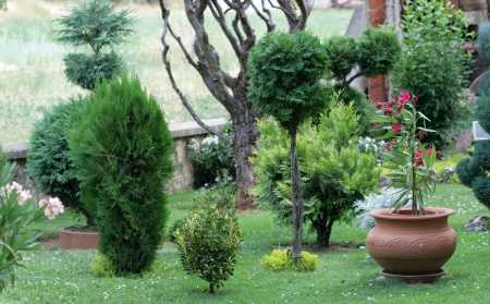 Beautiful gardenの写真素材