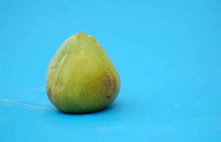 figの写真素材