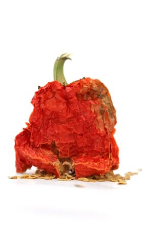 red hot dried pepperの写真素材
