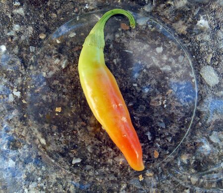 organic chilli pepper on a glassの写真素材